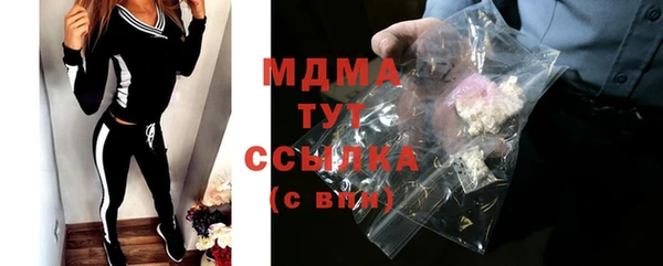 мдпв Елабуга