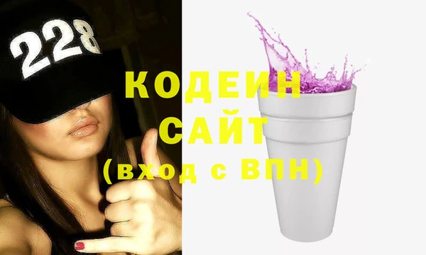 мдпв Елабуга