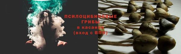 мдпв Елабуга