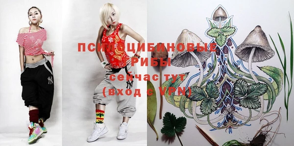 мдпв Елабуга