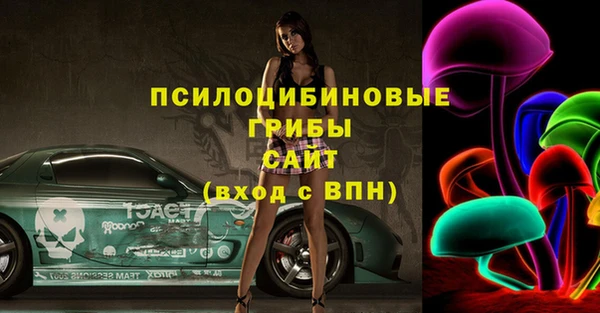 амфетамин Ельня