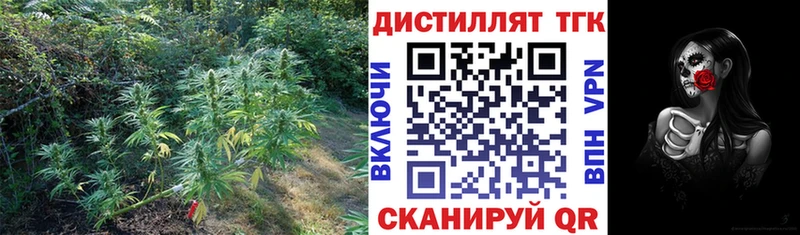 OMG зеркало  Западная Двина  ТГК Wax 