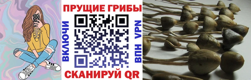 гидра ONION  Западная Двина  Галлюциногенные грибы мухоморы 